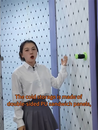 Walk-in Coldstorage#coldstorage #coldroom #freezer #condenser