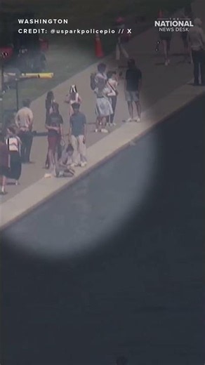Video shows ALLEGED VANDALISM at Reflecting Pool