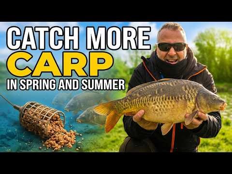 Catch More Carp In Spring And Summer. Using a cage feeder will get results when carp fishing.