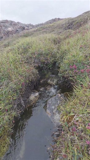 A Calming Tiny Natural Spring from Mountain