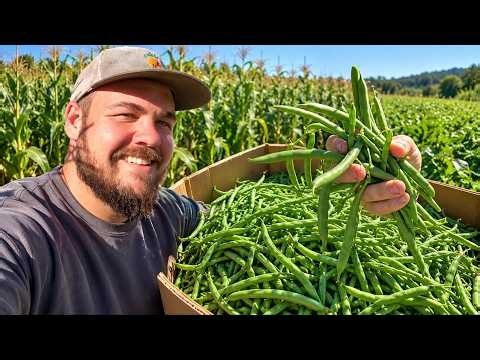 Spending More Time on This Popular Veggie (Sharing Our Thoughts)