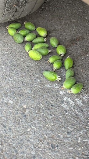 Running Over Random Stuff With Car | ASMR 🚘