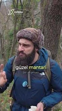 Doğada Hayatta Kalma : Köygöçüren Mantarı ( Amanita phalloides ) / Yabani Mantarlar Açıklamayı oku !