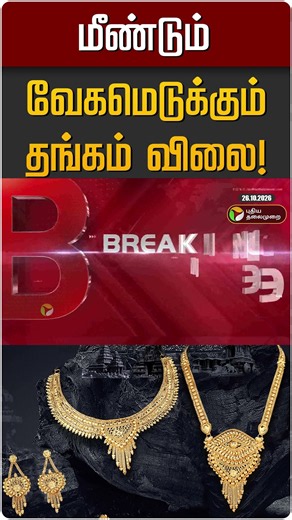 மீண்டும் வேகமெடுக்கும் தங்கம் விலை! | Gold | Gold Rate