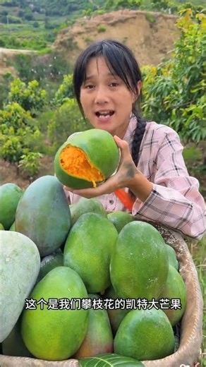 🥭😋 The Biggest Mango I’ve Ever Seen! | Fresh Harvest Taste Test