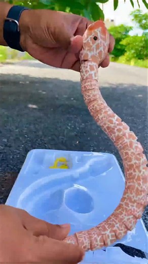 Remote Control Snake Toy Unboxing | Redkash Shorts