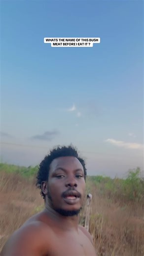 Discovering Bush Meat Varieties: What Am I Eating?