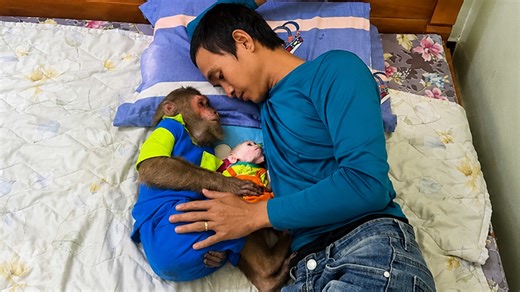 Dad tries everything while Cutis and monkey avoid sleeping