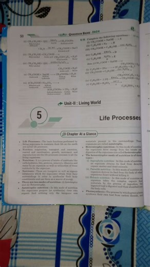 Life Process One Shot With Important MCQ Class 10th #exam #quick revision #practice questions