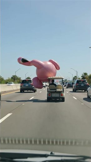 Florida Man Attaches Giant Flamingo to Golf Cart