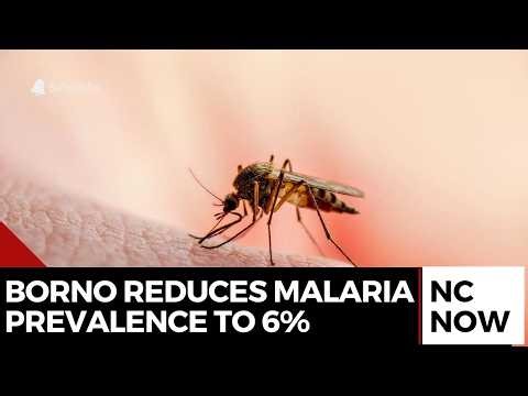 Malaria Prevalence Drops to 6% in Borno, Surpassing National Averages