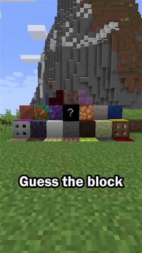 Guess the Minecraft block in 60 seconds #minecraft #trivia | minecraft panda eat cake