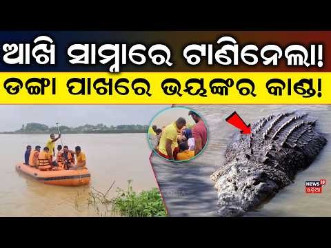 ଡଙ୍ଗା ନିକଟରୁ ଝାମ୍ପିନେଲା Crocodile Attack in Kendrapara: Person Dragged Away in Kharasrota River