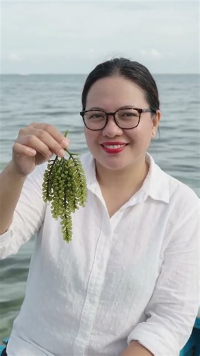 🥗 Harvesting and Eating Fresh Sea Grapes