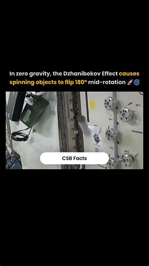 The Dzhanibekov Effect Explained 🤯 | The Mind-Bending Flip of Physics in Zero Gravity 🚀