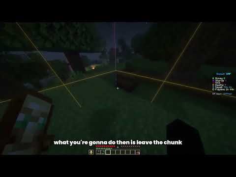 Minecraft Java Dupe Glitch | 1.21 - 1.21.11 | Working on ALL Servers