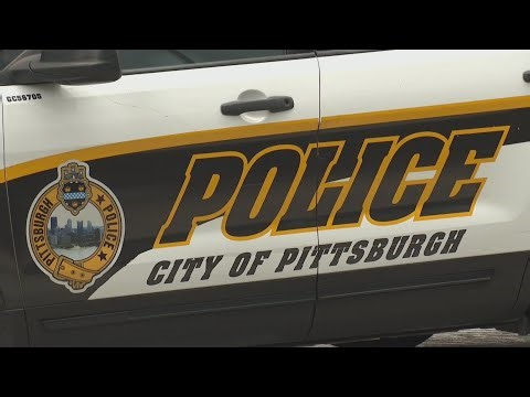 Video showing Pittsburgh officer striking woman in handcuffs is under review