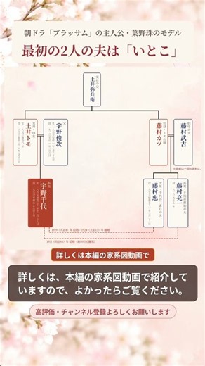 宇野千代、最初の2人の夫は「いとこ」だった #朝ドラ #ブラッサム #shorts