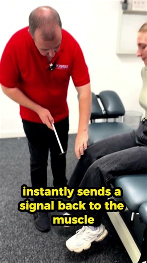 How Your Muscles React Faster Than You Think #reflex #muscles #shorts