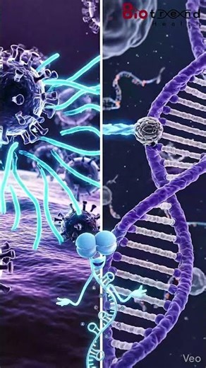 What Is RNA? From DNA to Action
