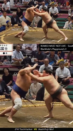 Tochitaikai vs Asahifuji | #sumo highlights