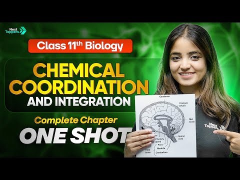 Chemical Coordination and Integration Class 11 One Shot | 11th Biology Chapter 19 | CBSE 2026