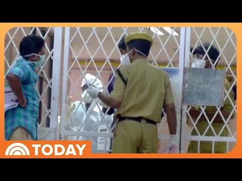 Deadly Nipah Virus Has Asia on High Alert: What to Know