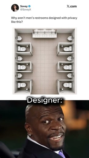Plumber vs Designer 🚽 #meme
