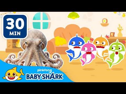 Evil Octopus🐙 vs Baby Shark🦈 | Hide and Seek with the Shark Family | Baby Shark Official