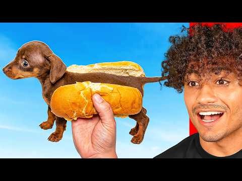 ONE HOUR Try Not To Laugh Challenge!