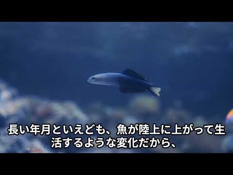 ヒューミックシェールを科学する 第２章の１－１、植物の工夫－水分をいかにとるかー