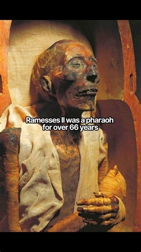"The Life Of Ramesses II" #art #history