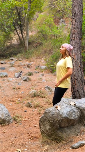 Camping Hacks That Will Change Your Outdoor Game! | 5-Minute Recycle