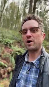 OPB’s Slow TV Brings You a Maritime Sunset “Yule Log” and More