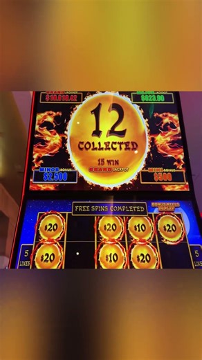 MASSIVE WIN ON AUTUMN MOON DRAGON LINK #shorts