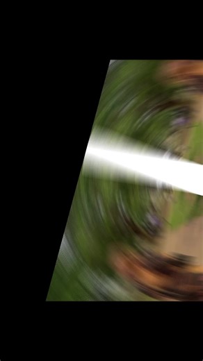 Understanding Jehovah's Witnesses in the USA