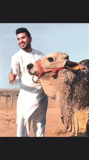 راځئ قرباني وکړو او افغانستان کې وکړو | Let,s Donate Our Qurbani in Our Own Country| New 2026
