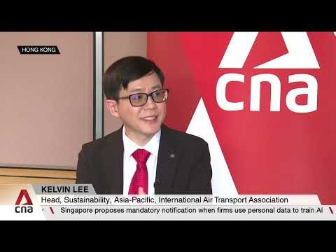 Who pays for greener flying? IATA says airlines cannot bear the burden alone