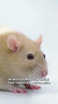 Scientists Develop a Nanobot that Kills Cancer