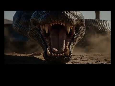 Giant Python Attack in Desert | Deadly Snake Fight Scene | Shocking Wildlife Battle...