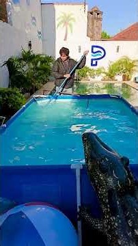 🟢 ¡No vacíes tu piscina de lona sucia y llena de hojas: así es como se rescata paso a paso!