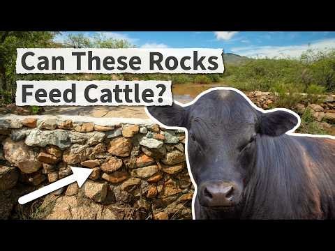 Regreening Desert Ranchlands: One Rock at a Time