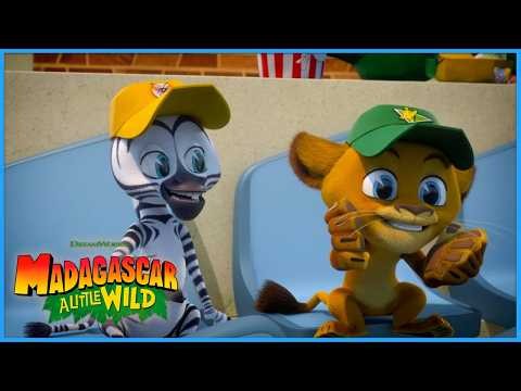 Best Fans Day!🏟️🦒 | DreamWorks Madagascar