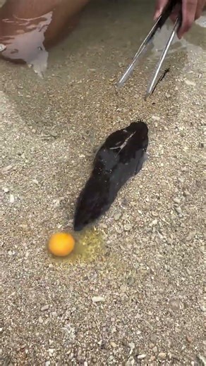 What is this? Catching a Terrifying Deep Sea Creature #fishing