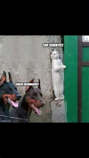 Scp meme of the day 071