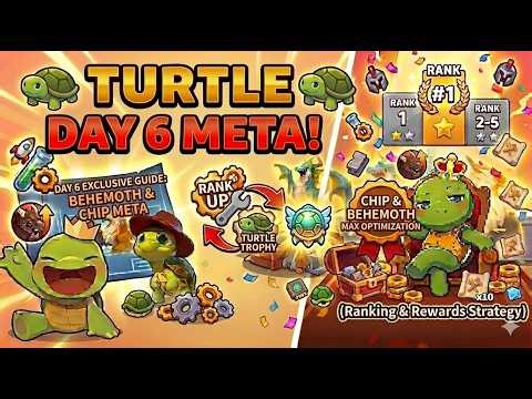 Turbo Turtle Basics Explained: Fastest Route to 5M