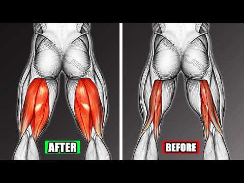 The Best Hamstring Exercises to Get Huge Legs | Maniac Muscle