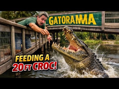 I Found a 20-Foot CROCODILE… This Was NOT Supposed to Happen