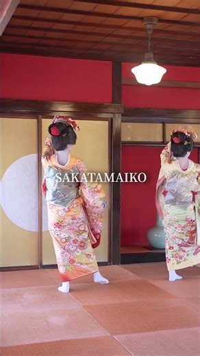 A graceful performance begins with the sound of the shamisen. 🪭#sakatamaiko #shamisen #maiko