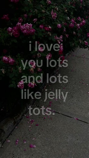 I Love You Lots and Lots Like Jelly Tots: The Viral Saying